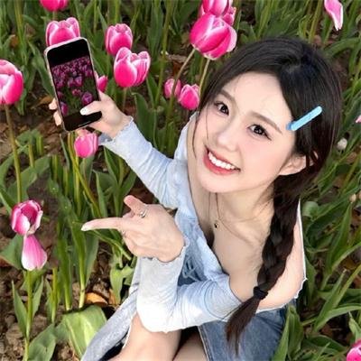 大象之梦