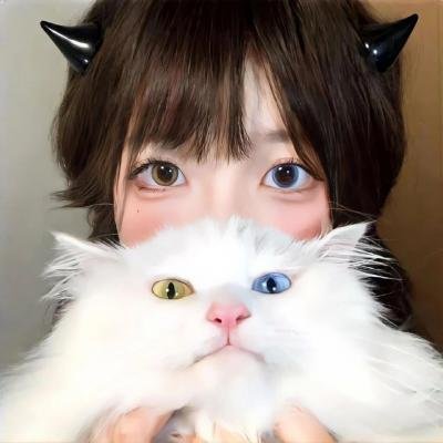 生死决断